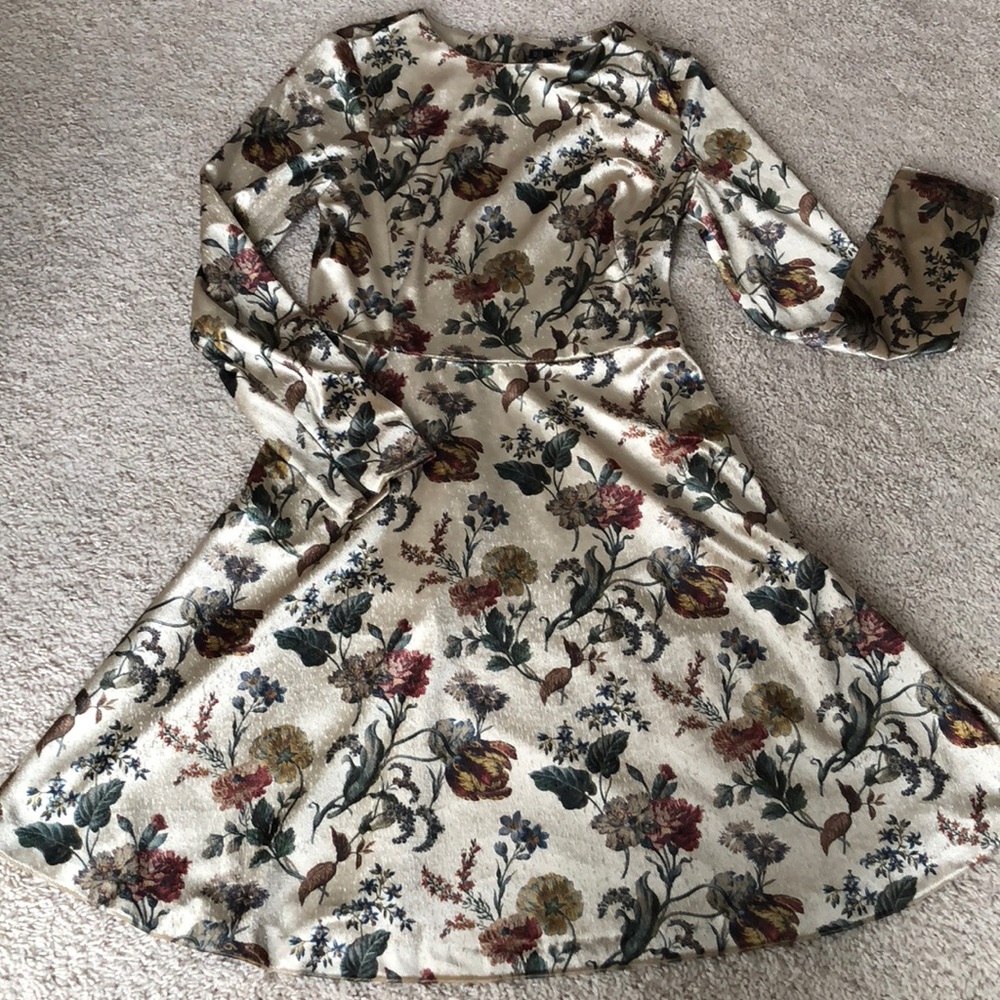 Zara Basic Collection velvet fit and flare dress